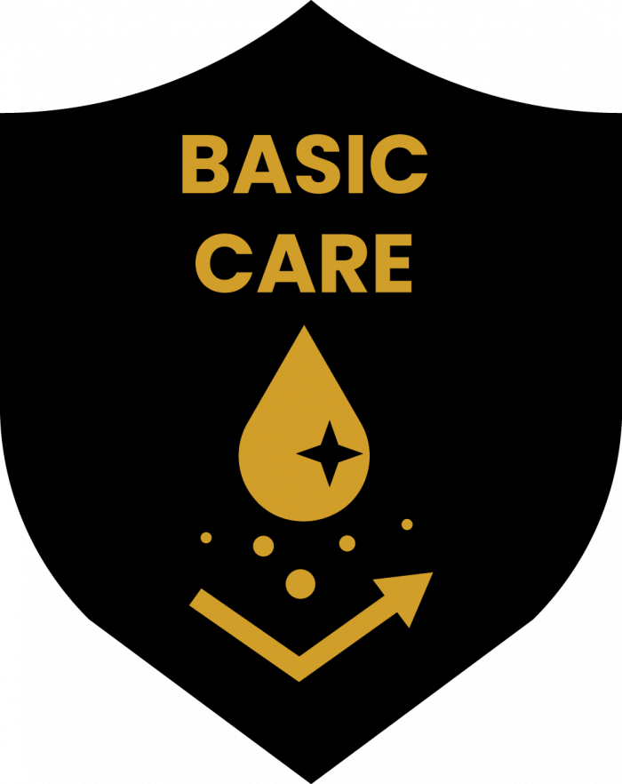 Basic Care Icon