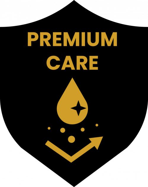 Premium Care Icon