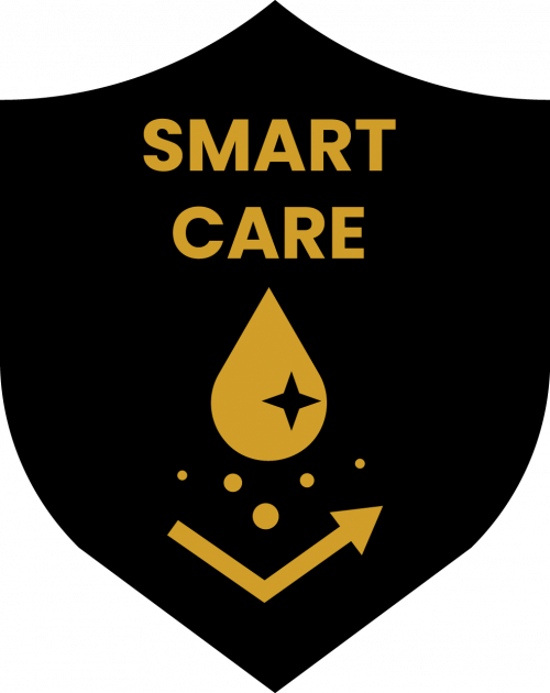 Smart Care Icon