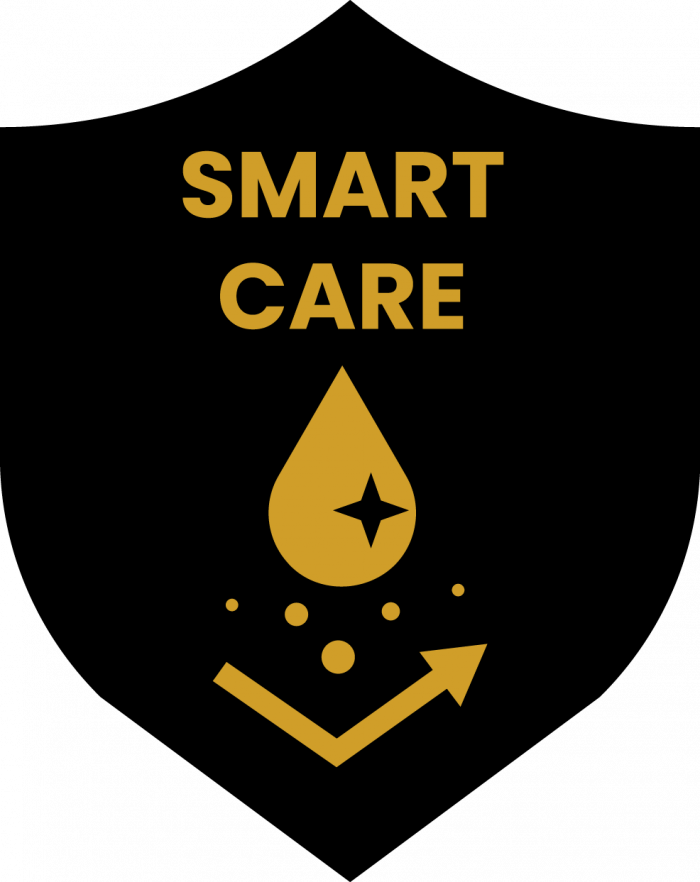 Smart Care Icon